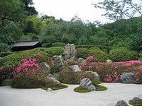 общий японские растения 1.jpg