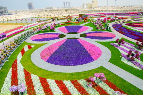 Самый-большой-парк-цветов-в-мире-Dubai-Miracle-Garden.jpg